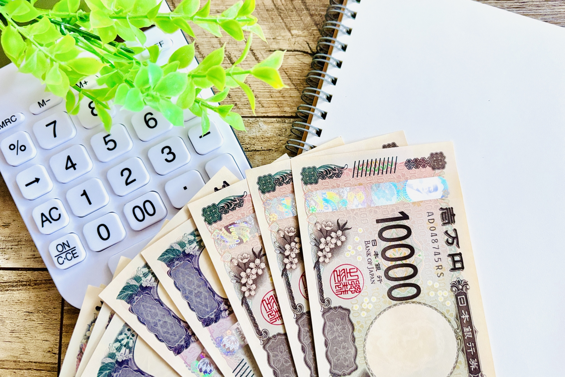 契約特典で料金が安くなる